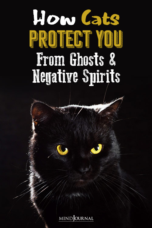 How CATS Protect You From Ghosts And Negative Spirits?